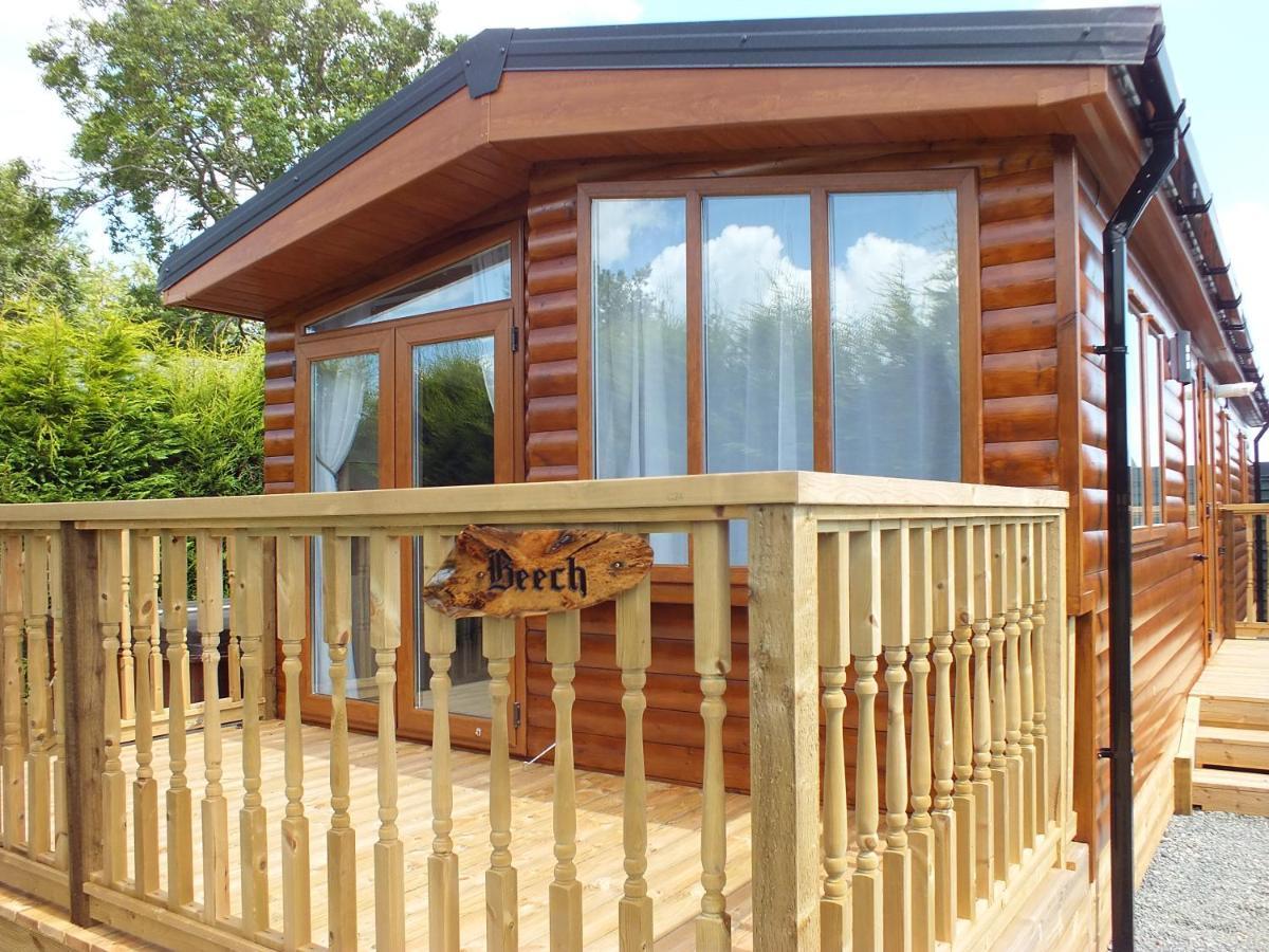 Beech Villa Swanage Ngoại thất bức ảnh